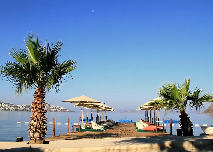 Elite 4* בודרום